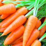 Вартість моркви набирає обертів