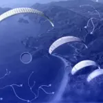 NFT-проєкт Doodles випустив токен DOOD на Solana та провів аірдроп