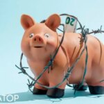 В ЄС встановили ліміти на оплату готівкою