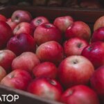 Прогноз цін на яблука для України, Молдови та Польщі розчарує споживачів