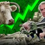 Біткойн та економіка: чи сигналізує зниження ставки ФРС про повернення до друку грошей?