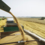 Брак соняшника та $4,1 мільярда прибутку. Як Kernel Веревського трансформує бізнес-стратегію?