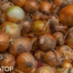 Цибуля росте в ціні: що спричинило та чого очікувати