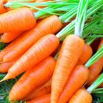 Ціни на моркву в Україні зростають