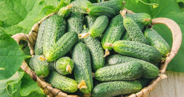 3298_1200x630.jpg (60,28 Кб)