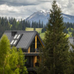 Skogur Home&Resort: вкладення у Карпатський регіон