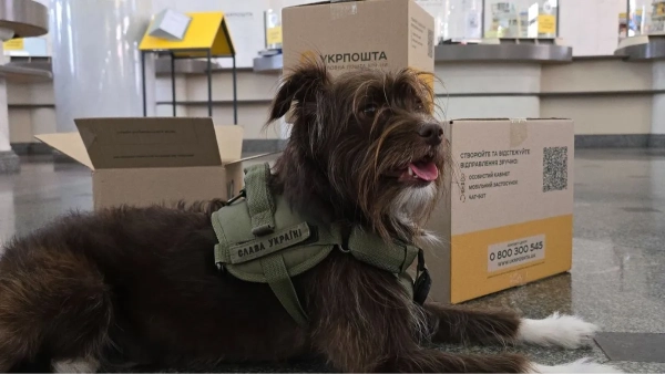 Фото: Укрпошта