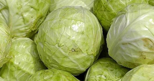 2360_800x420.jpg (39.96 Kb)