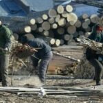 Росія все глибше в економічній орбіті Китаю — свідчення.