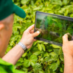 Агропросперіс починає діяльність у сфері IT-рішень. Які IT-розробки пропонує агрокомпанія та їхня вартість?