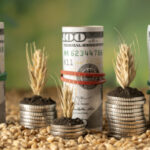 МХП та «Астарта» готуються до ривка? Чому інвестори прогнозують зростання акцій після війни