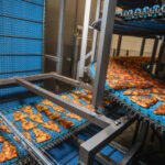 Не лише мандрівки. Закарпаття може стати новим економічним центром України?