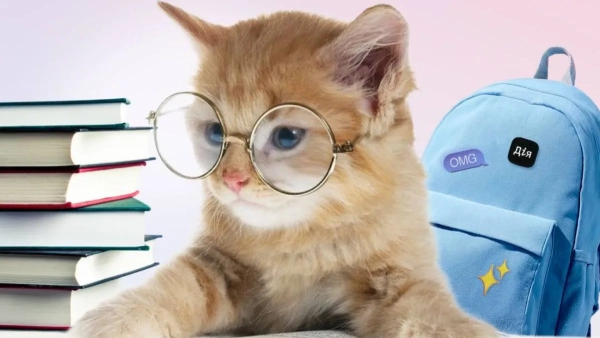 Пакунок школяра Фото: Мінцифри