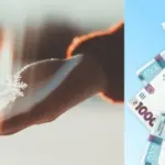 Українці мають змогу отримати 6500 гривень через Дію: пояснення від Мінцифри