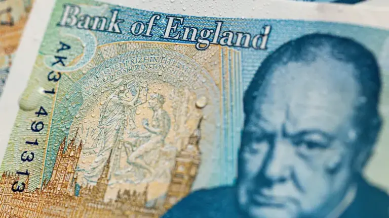 На банкнотах фунта стерлінгів замість історичних особистостей будуть зображені тварини 10