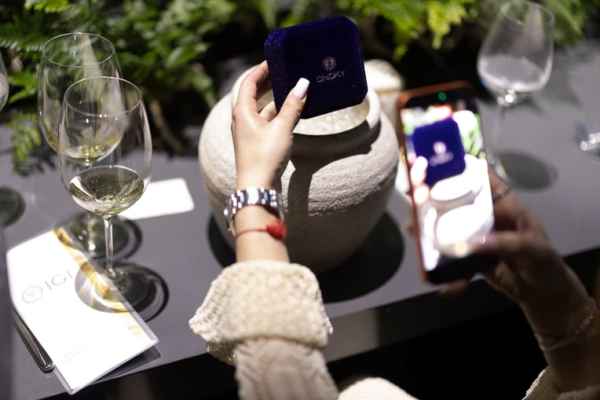 Onoky: інвестиції в курортну нерухомість Закарпаття 16