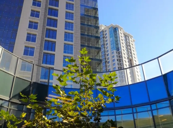 City One Development: результати роботи та дослідження ринку новобудов за 2024 рік 3 City One Development: результати роботи та дослідження ринку новобудов за 2024 рік 3