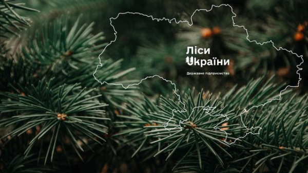 “Телент Едвайзорс” здобуває перемогу в тендері на пошук&hellip;