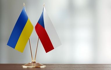 Запити на базову допомогу в Чехії: як отримати її