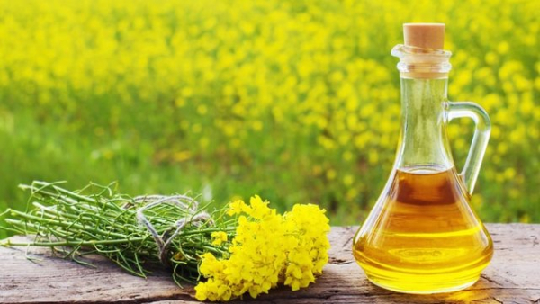 Частка переробки ріпаку всередині країни в сезоні 2025/26&hellip;