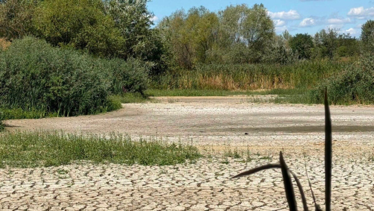 Ужгородська забудова призводить до висихання ключового Чорного озера 2 Ужгородська забудова призводить до висихання ключового Чорного озера 2