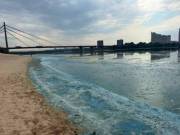 Головна 53 Екологи розкрили причини, через які вода в Дніпрі змінила колір та з’явилася піна
