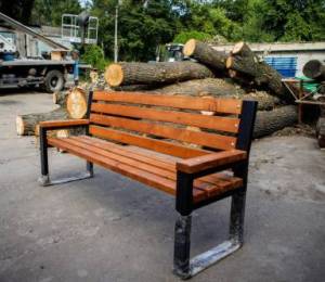 Зрубані на Теремках дерева «Київзеленбуд» застосує для поліпшення озеленення та благоустрою 2