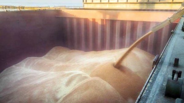 Головна 31 Уряд змінив найнижчі дозволені ціни для експорту певних…