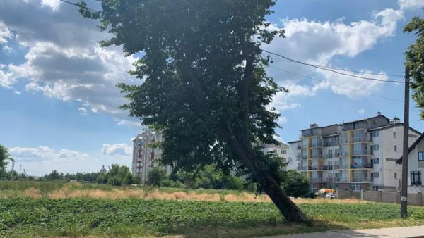 На Львівщині ділянку під житловий комплекс реалізували за суму, що перевищує 30 мільйонів гривень 4 На Львівщині ділянку під житловий комплекс реалізували за суму, що перевищує 30 мільйонів гривень 4
