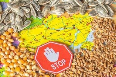 Скільки тонн українського врожаю було вкрадено Російською Федерацією