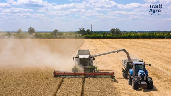 Головна 44 “ТАС Агро” завершила збір ранніх зернових і олійних…