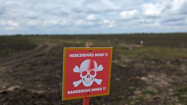 У застосунку «Дія» відтепер доступні дві додаткові опції для подання заяв до міжнародного реєстру збитків.