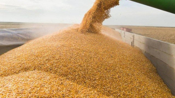 Україна обговорює з країнами-сусідами можливості розширення логістичної інфраструктури для постачання зерна на зовнішні ринки – Сибіга