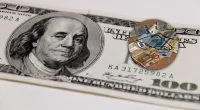 В Україні подешевшав популярний овоч: ціни 5 В Україні подешевшав популярний овоч: ціни 5
