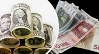 Ціни на популярний овоч в Україні: нові реалії 4 Ціни на популярний овоч в Україні: нові реалії 4