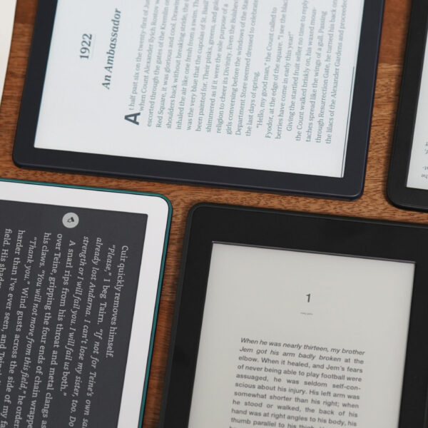 Електронні книжки: неочікуваний вердикт