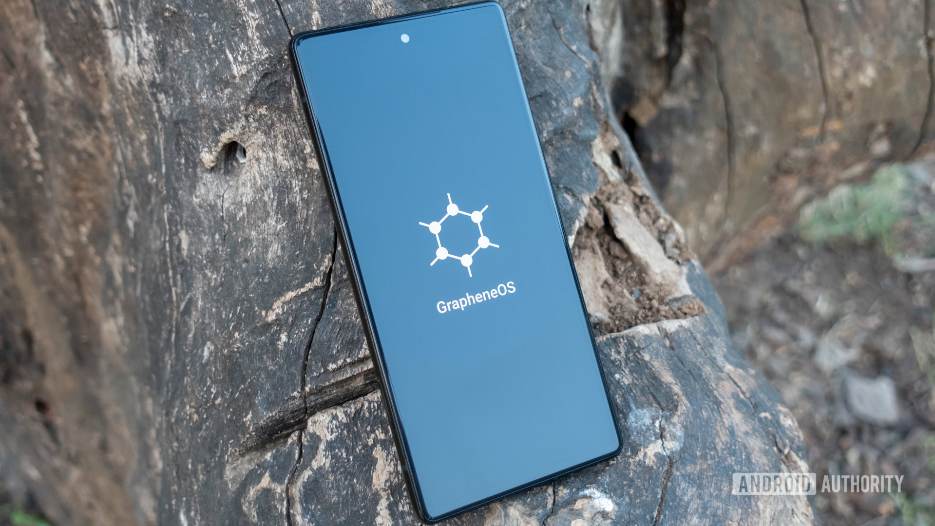 Pixel 10: Загроза приватності чи останній захист? 3