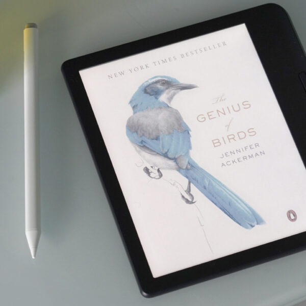 Е-рідер: 6 альтернатив Amazon Kindle