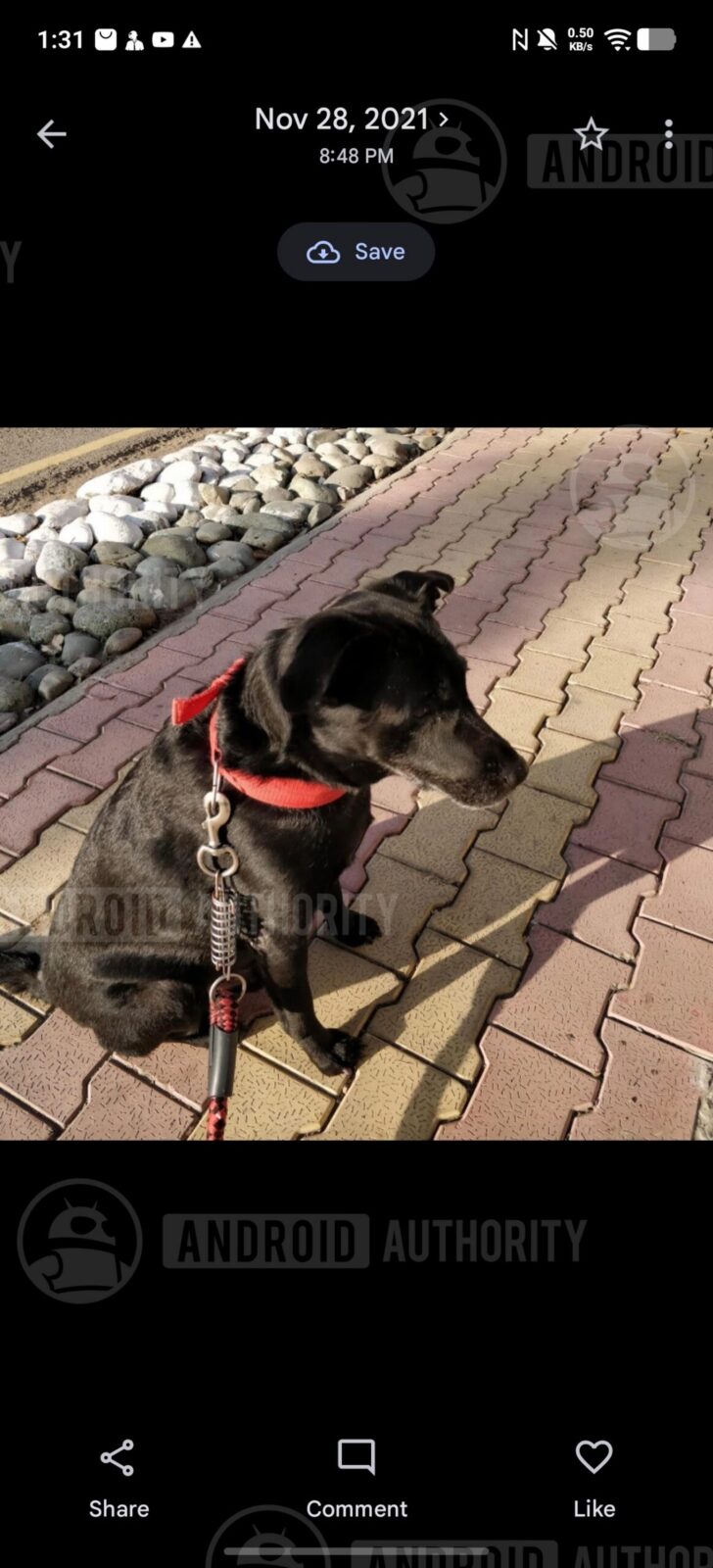 Google Photos: нові можливості спільного використання 13 Google Photos: нові можливості спільного використання 13