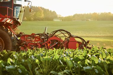 Україна скорочує посівні площі через брак фінансування