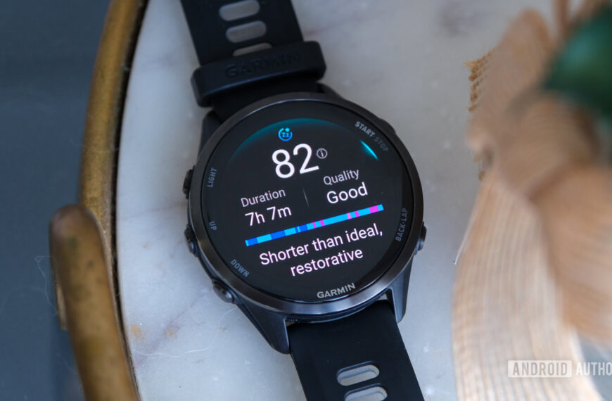 Головна 128 Garmin лідирує у сегменті носимих пристроїв