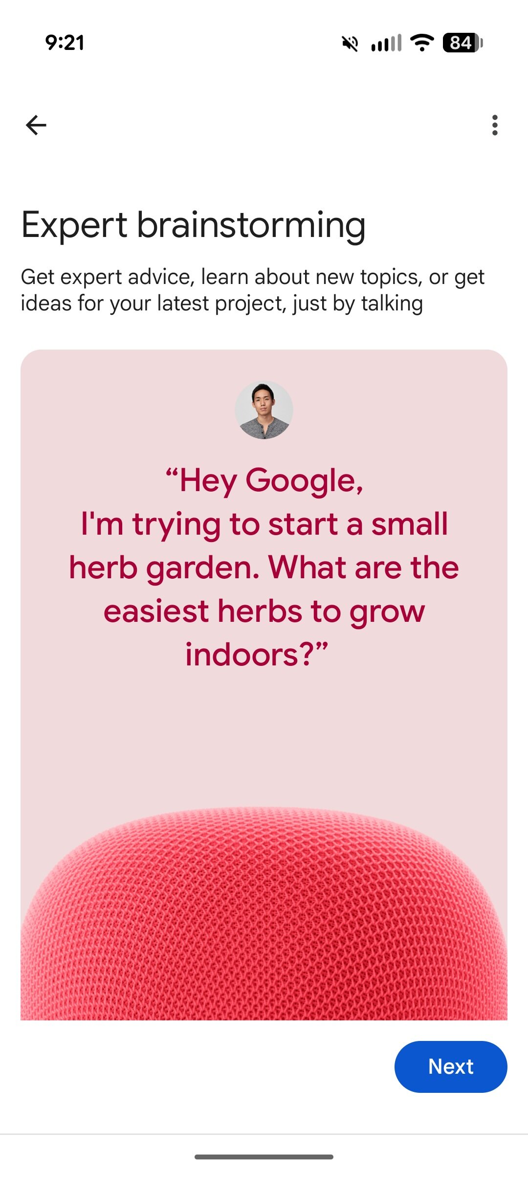 Google Home: як отримати Gemini 8