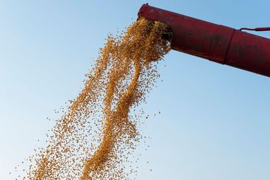 Агроекспорт під ударом: як війна впливає на постачання української продукції 5 Агроекспорт під ударом: як війна впливає на постачання української продукції 5