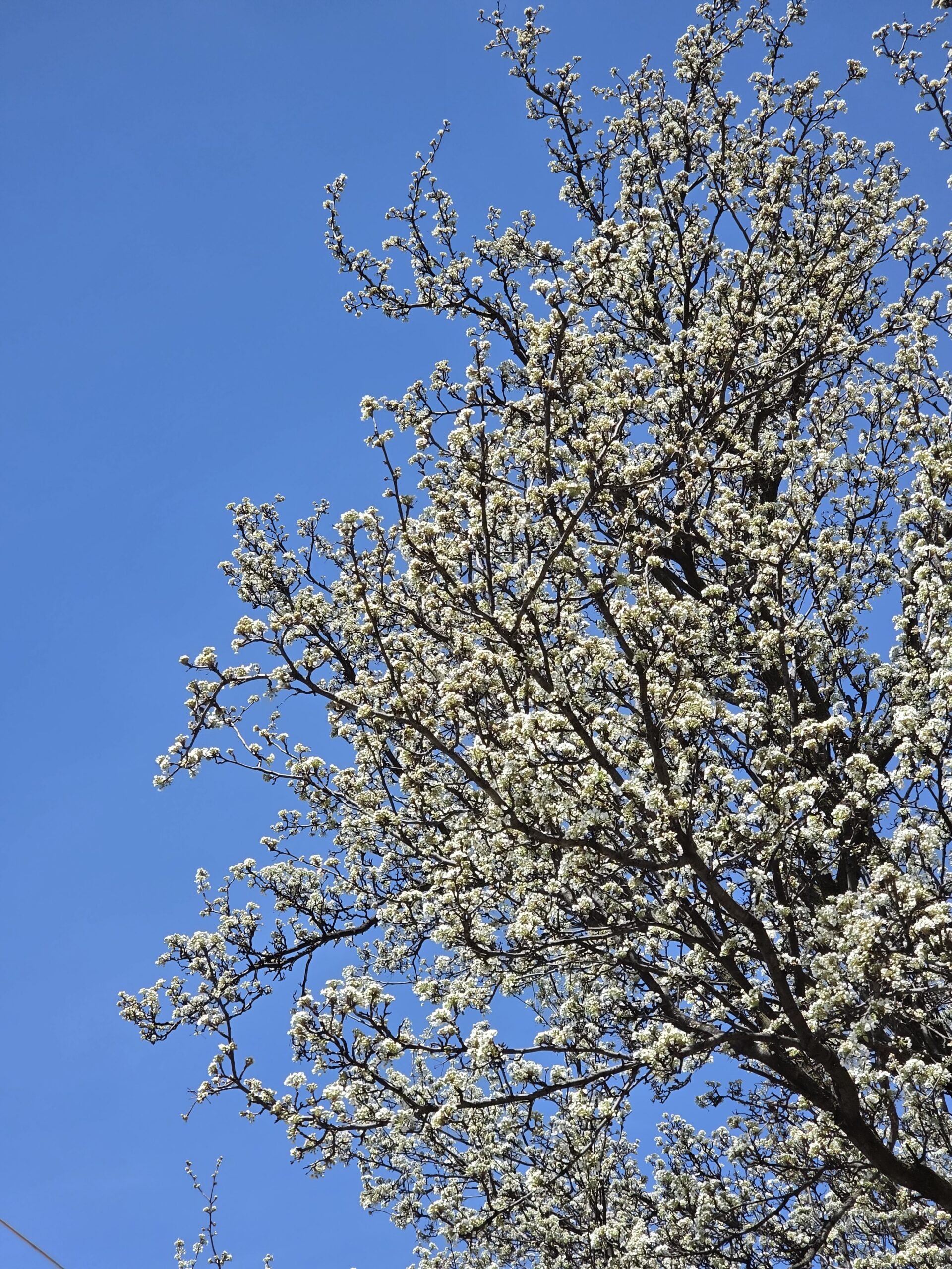 Galaxy S26 Ultra: повернення іскри, але є куди рости 60