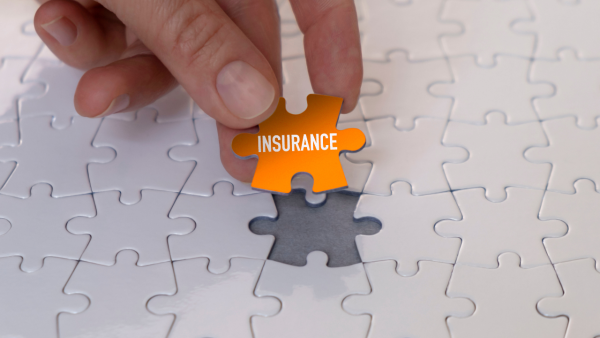 Страхові франшизи: можливості для підприємців 10 Insurance Franchise Opportunities