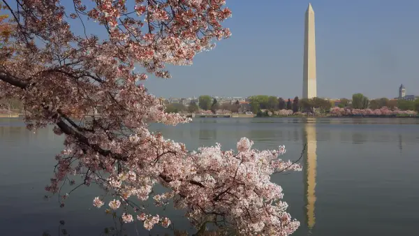 Virginia lender to acquire Forbright’s DC branches